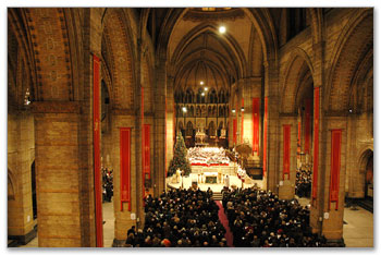 St. Bavo Kathedraal Haarlem