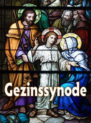 Gezinssynode 2015