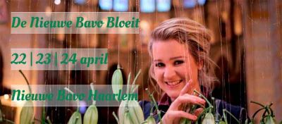 De Nieuwe Bavo Bloeit 2016