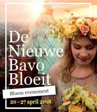 De Nieuwe Bavo Bloeit