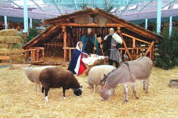 Naar de Kerststallenmarkt in Kevelaer