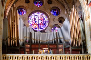 Orgelconcert-serie Bavokathedraal