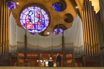 Het majestueuze Willibrordusorgel in de Bavokathedraal te Haarlem