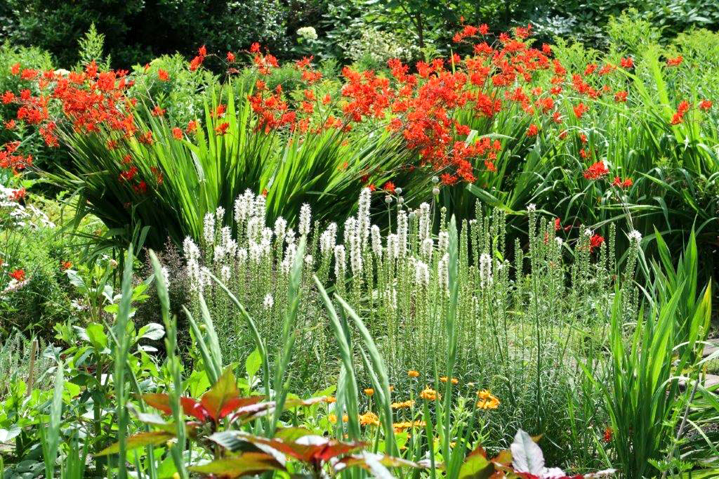 Zomerse uitnodiging - Beeldschone Bijbelse Tuin