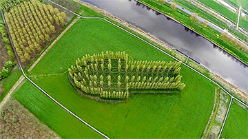 Groene Kerk Almere