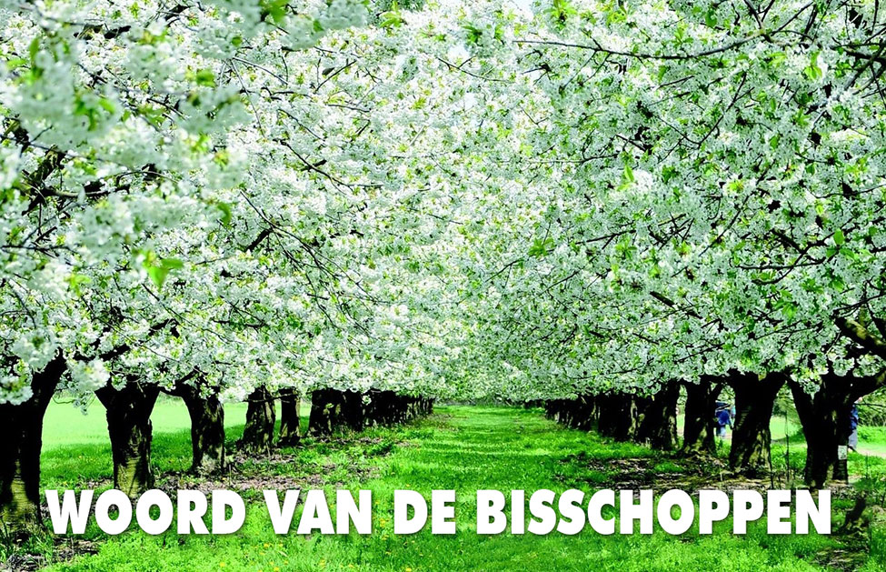 Woord van de bisschoppen bgv de Vredesweek